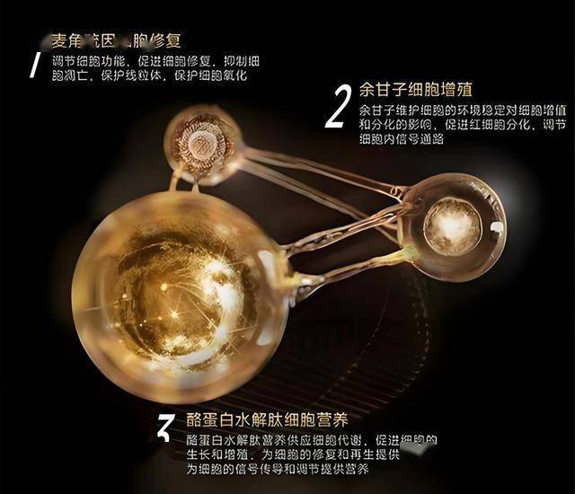 bb markets监管变局，将来市场洗牌谁能脱颖而出？